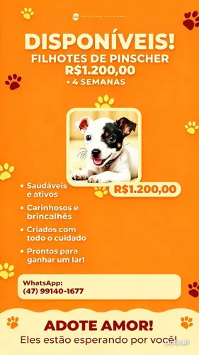 Vendo filhotes de Pincher