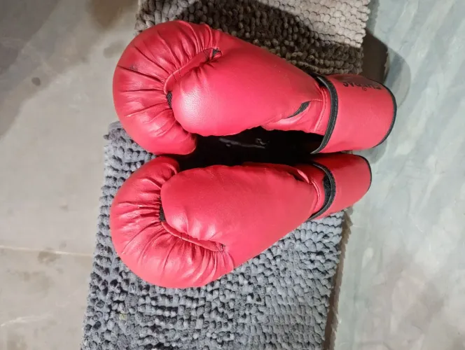 Par de luva boxe 14 Oz 