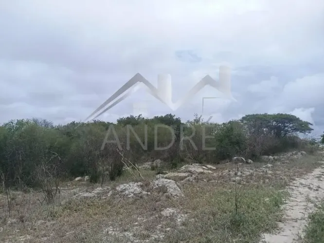 Lote para Venda em Gravatá, CHÁCARA VERANEIO