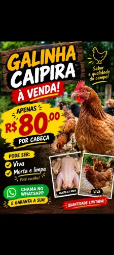 Galinha caipira