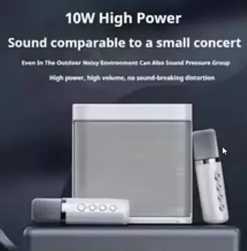 Máquina De Karaokê Com 2 Microfones Duplos Sem Fio Portable