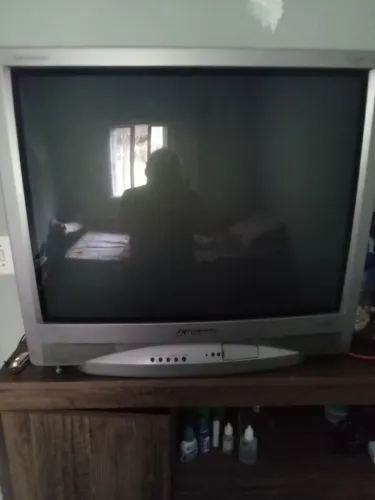 Vendo TV 29' com controle