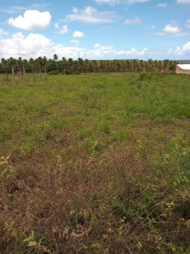 Lote quitado vendo ou troco em Marechal Deodoro