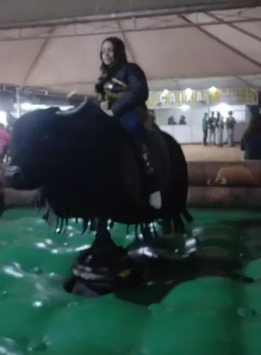 Venda Touro mecânico  3cv com o versor. Melhor motor para festas grandes.