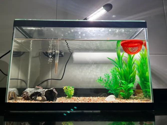 Aquário 20 litros