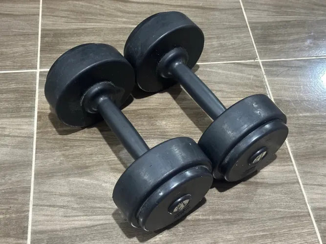Halteres emborrachados de 12kg