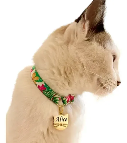 Coleira para Gato com Plaquinha de Nome e Telefone