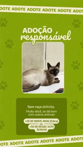 ADOÇÃO URGENTE 