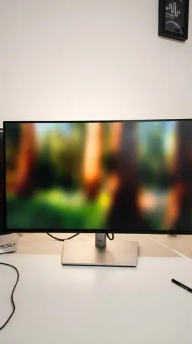 Monitor DELL P2425H