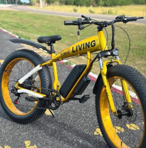Bicicleta elétrica Fat Bike (Pneus Largos)