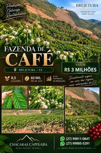 VD Fazenda de Café em Brejetuba