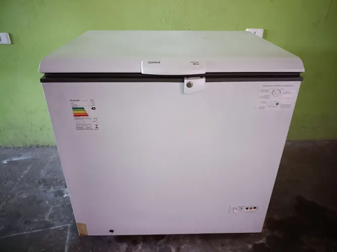 Vendo frizzer orizontal 127 VTs  de.  1. Porta   está cem.   Gás        
