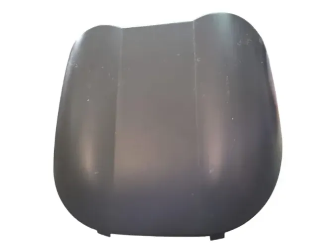 Moldura Painel Instrumento Renault Megane *4) N281