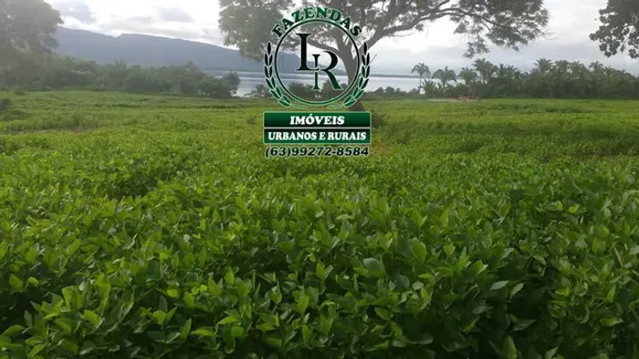 Fazenda 462 Alqueires Beira Lago Palmas Dupla Aptidão
