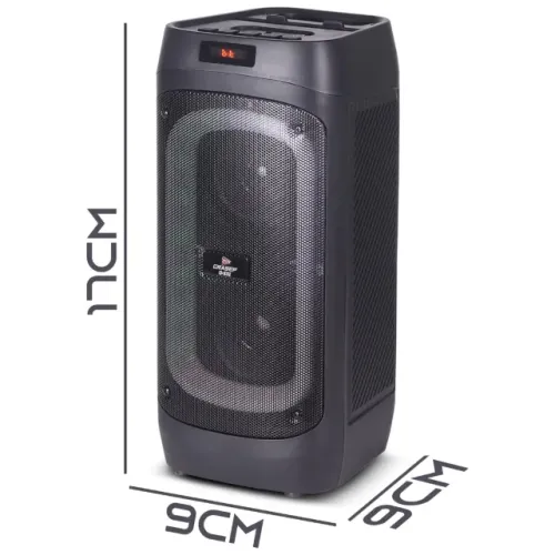 Caixa de Som Com Microfone Completa 30W