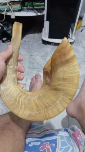 Shofar de Israel