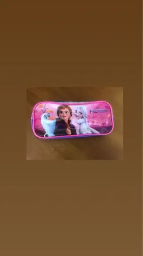 Estojo da Frozen