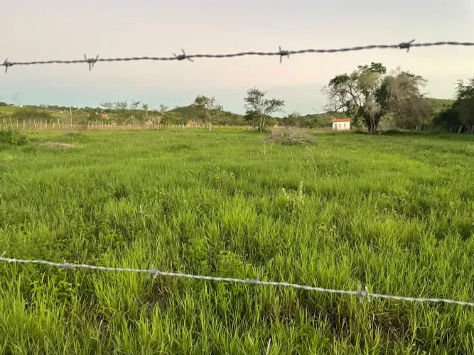 Localização privilegiada para venda ficar no distrito de Anguera Cavunge