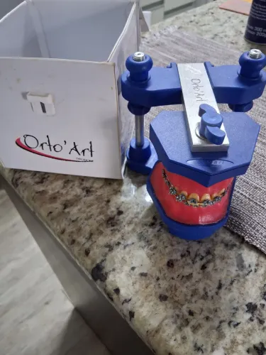 Modelo ortodontia Typodont usado