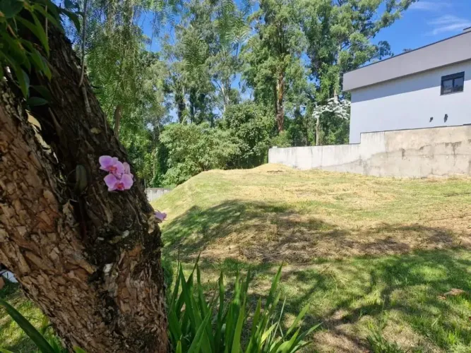 Terreno à venda, 502 m² por R$ 900.000,00 - Granja Viana - Cotia/SP