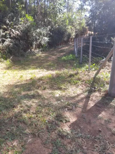 Chácara com 20.000 m² em Bocaiúva do Sul - PR