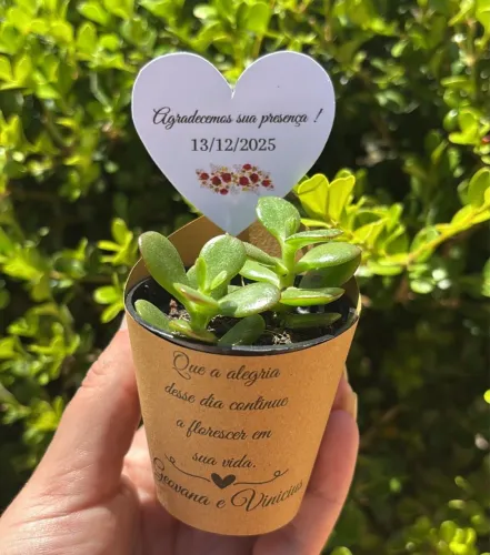 Lembrancinha de suculenta personalizada