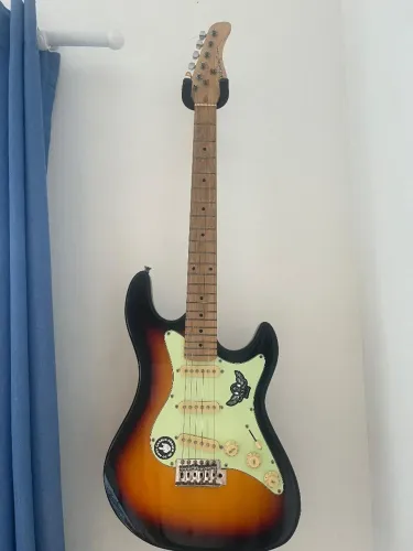 Guitarra Steinberg STS-100