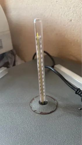 Termômetro para estufa