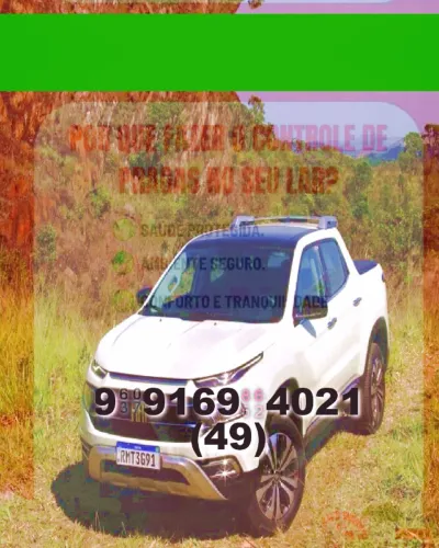 Frete para Centro, Estreito e Coqueiros: transporte seguro e rápido para sua mudança!