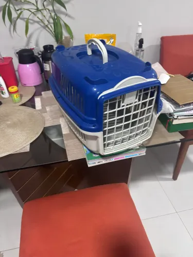 Acessórios pet caixa transporte. 