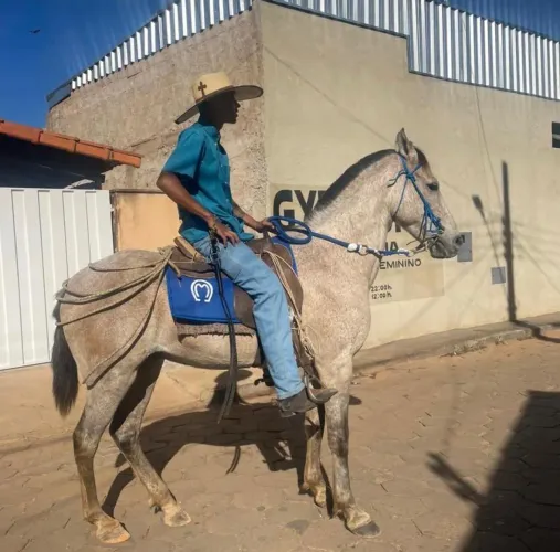 Troco cavalo