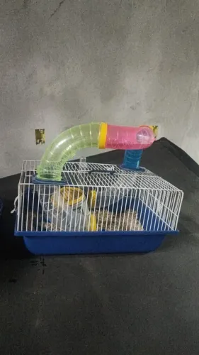 Gaiola hamster