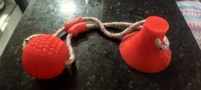 Brinquedo Pet com Ventosa e Corda