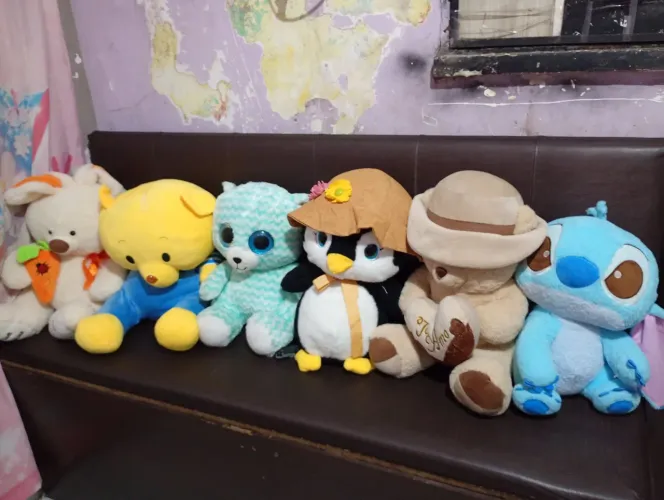 Vendo 38 pelúcia ? sendo 6 grandes 8 médios 32 pequenos todos novos valor 540 tudo