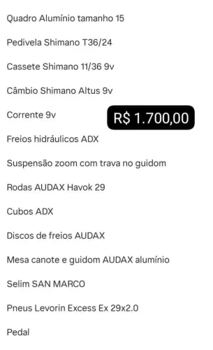 Bicicleta Audax