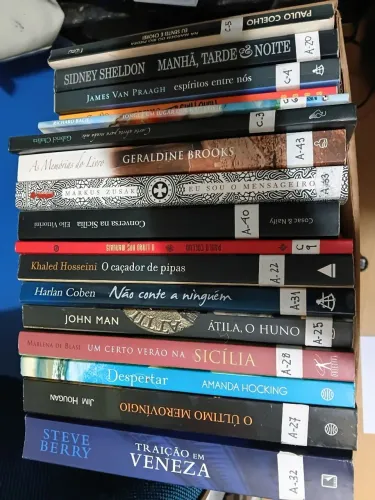 Kit com 17 livros