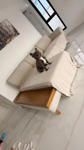 Sofa com Chase Canto a Canto