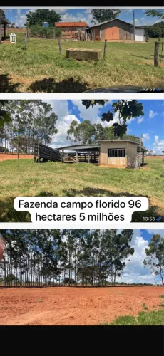 Fazenda em campo florido