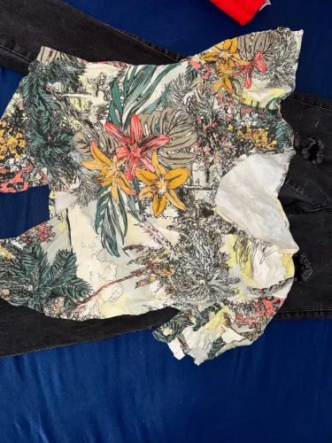 Blusa