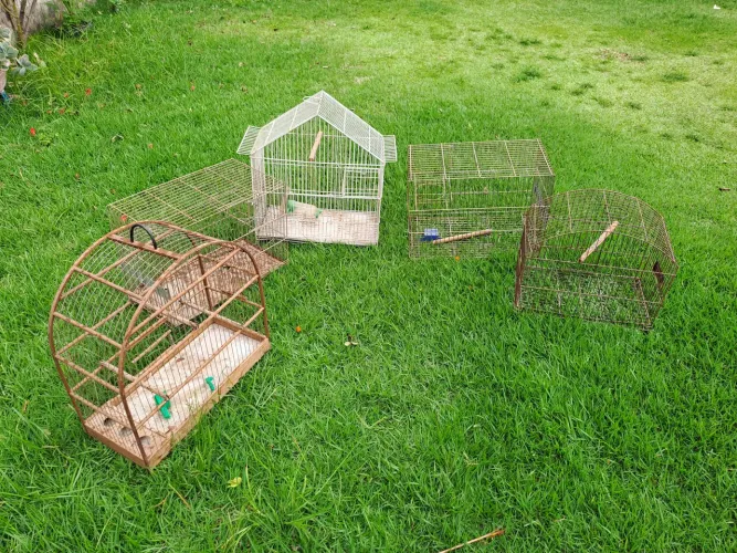 Vendo 5 gaiolas, todas perfeitas