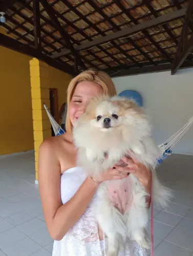Cuidamos de Cães e Gatos em Balneário camboriú - Pet Sitter