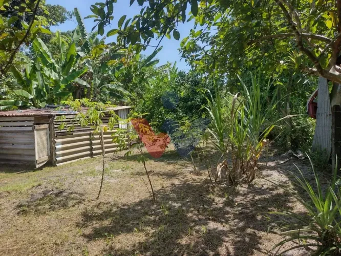 Chácara em Alexandra, Paranaguá, Casa, Tanques de Peixe e Alto Potencial de Investimento