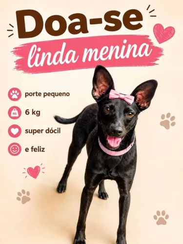 Doação de cadelinha linda