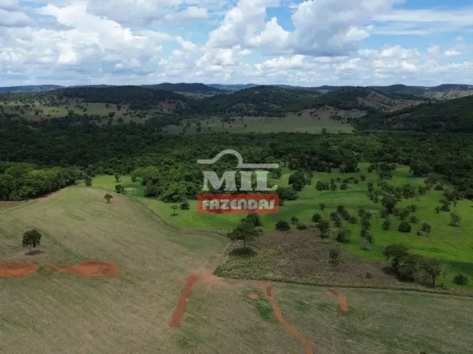 Fazenda 23,69 alqueires (114,7 hectares) Cezarina - Go