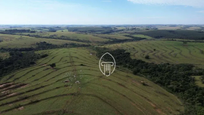 Fazenda à venda, 217 Alqueires por R$ 39.100.000