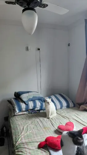 Apartamento a venda