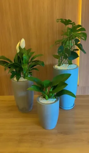 Jardinagem em geral