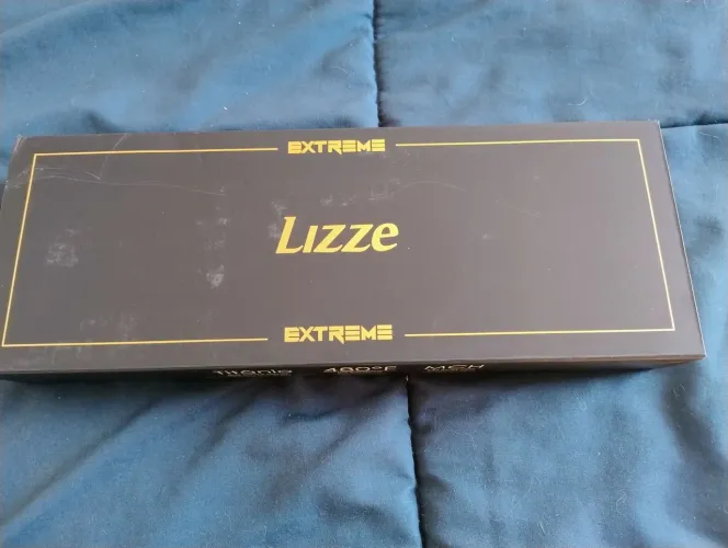 Prancha Lizze Extreme Profissional 127V