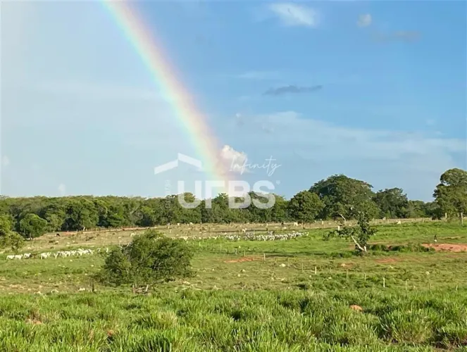 Fazenda dupla aptidão - com 28,5 alqueires - Bom Jardim de Goiás - Escriturada e Atualizad