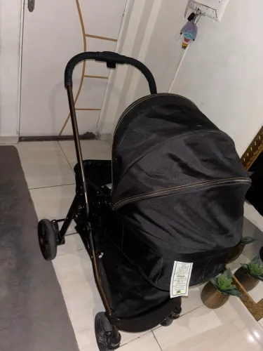 Carrinho de bebê Moisés